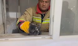 Hatay'da havalandırma boşluğuna düşen yavru kedi kurtarıldı
