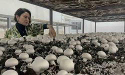 Hem eğitim görüp hem üretiyorlar