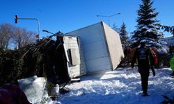 Işıklarda duramayan kamyon devrildi, çarptığı ağacı kökünden söktü