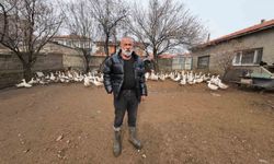 İstanbul’dan memleketi Yozgat’a döndü, binlerce hayvan üreterek geçimini sağlıyor