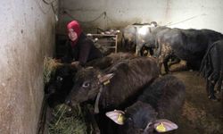 Kadın girişimcinin azmi: 11 mandayla başladı, siparişlere yetişemez hale geldi