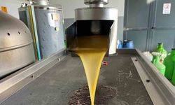 Kara meyve altın sıvıya dönüşüyor