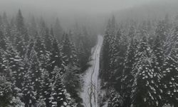 Karabük’ün yüksek kesimleri beyaza büründü