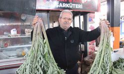 Karaciğer dostu enginar pazarda yoğun ilgi görüyor