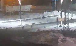 Karayazı’da akşam saatlerinde kurt alarmı