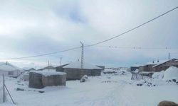 Karla birlikte Türkiye’nin en yüksek köyü Kışkılı’da besiciler zor durumda kaldı