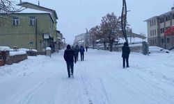 Karlıova'da eğitime 1 gün ara verildi