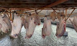 Kars kazı geleneksel yöntemlerle kurutuluyor: Kış sofralarının vazgeçilmezi hazırlanıyor