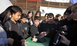 Kartal’da çevre bilincini artıran çifte etkinlik