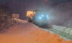Kastamonu'da kapalı köy yolu sayısı 616'ya düştü