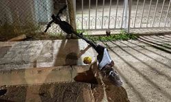 Kazadan sonra taburcu oldu, 3 gün sonra hayatını kaybetti