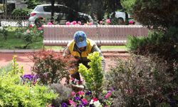 Keçiören’de seradan parklara uzanan yeşil yolculuk