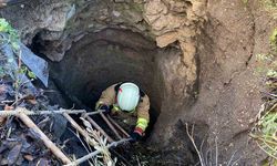 Kırkağaç'ta kuyuya düşen köpek itfaiye ekiplerince kurtarıldı