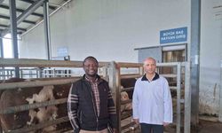 Kocaeli’deki mezbaha tesisi İslam ülkelerine örnek gösterildi