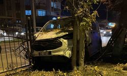 Kontrolden çıkan minibüs, refüjdeki ağaca çarparak durabildi