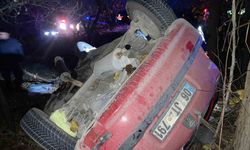 Kontrolden çıkan otomobil kayısı bahçesine uçtu: 1 yaralı