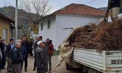 Köşk’te köklü kestane fidanları üreticilere dağıtıldı