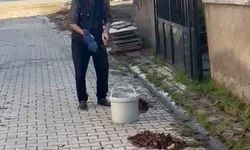 Kütahya'da yaşlı adamdan çevreye örnek temizlik dersi