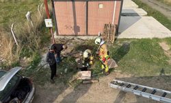 Kuyuya düşen koyunu itfaiye kurtardı