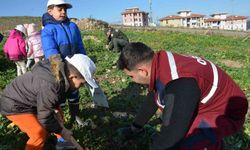 Manisa’da yanan alanlara 100 bininci fidan dikildi