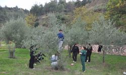 Manisa'da 'Zeytin 5.0 Projesiyle' çocuklar hem öğrendi hem üretti
