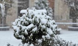 Mazıdağı'nda yoğun kar yağışı ve tipi etkili oluyor