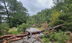 Menteşe Akbük’te şiddetli yağış ve rüzgar etkili oldu