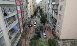 Mersin'de ağaçlara kış bakımı