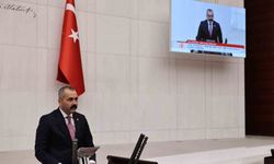 MHP’li Durgun: "Pestisit iddiaları kamuoyunda abartılı şekilde yer buluyor"