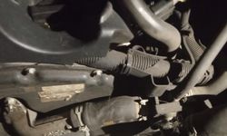 Minibüsün motoruna sıkışan kedi kurtarıldı