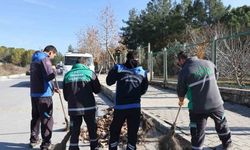 Muğla Büyükşehir’den 13 ilçede çevre temizliği seferberliği