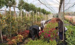 Muğla Büyükşehir'den yerel kalkınmaya katkı