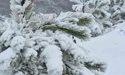 Muğla’ya mevsimin ilk karı yağdı