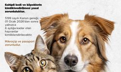 Niğde Belediyesi’nden kedi ve köpek sahiplerine uyarı: Son başvuru 31 Aralık 2025