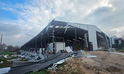 Nilüfer'de iki kaçak yapı daha yıkıldı