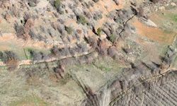 Nurhak’ta yaban domuzu avı yapıldı