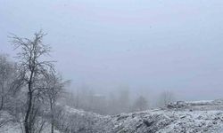 Ordu’nun yüksekleri beyaza büründü