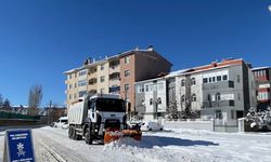 Palandöken Belediyesi karla mücadelede sahada