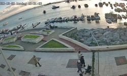 Pendik'te vicdanları sızlatan olay: Kediye tekme atıp denize fırlattı