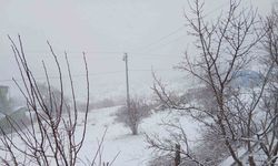 Posof’ta kar yağışı etkili oluyor