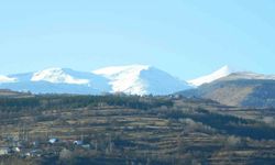 Posof’ta yeşil ve beyazın buluşması