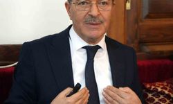 Prof. Dr. Köylü: 'Taşıyıcı annelik, nesebi belirsiz bir gelecek doğurur'