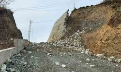 Rize'de şiddetli yağmurların ardından istinat duvarı çöktü