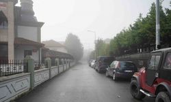Sakarya’da sis görüş mesafesini 50 metreye düşürdü