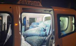 Samsun’da 300 kilo kaçak midye ele geçirildi