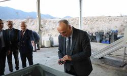 Sarıcakaya zeytinle ön plana çıkıyor