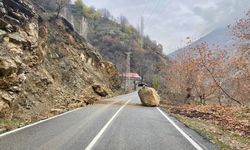 Sason’da köy yollarını kapatan dev kaya parçaları kaldırıldı