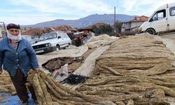 Selendi’de tütünde hasat bitti, kolileme mesaisi başladı