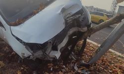 Şerit değiştiren araca çarpmamak için manevra yaptı, ağaca çarptı