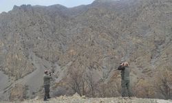 Siirt’te kaçak avlanmaya 15 bin lira ceza